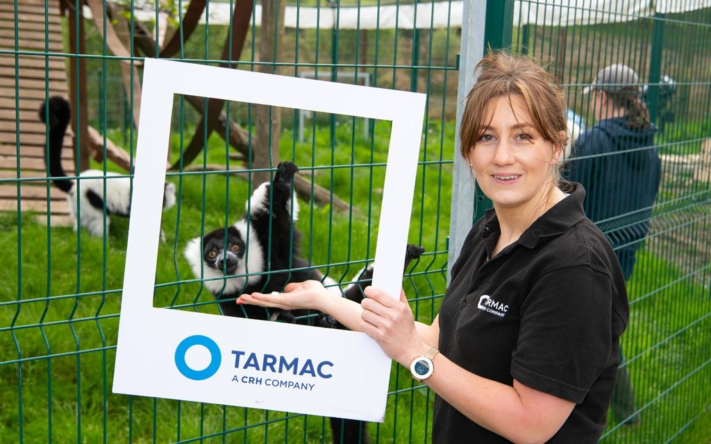 Tarmac’s support is a ‘Gibbon’ for Wales Ape & Monkey Sanctuary