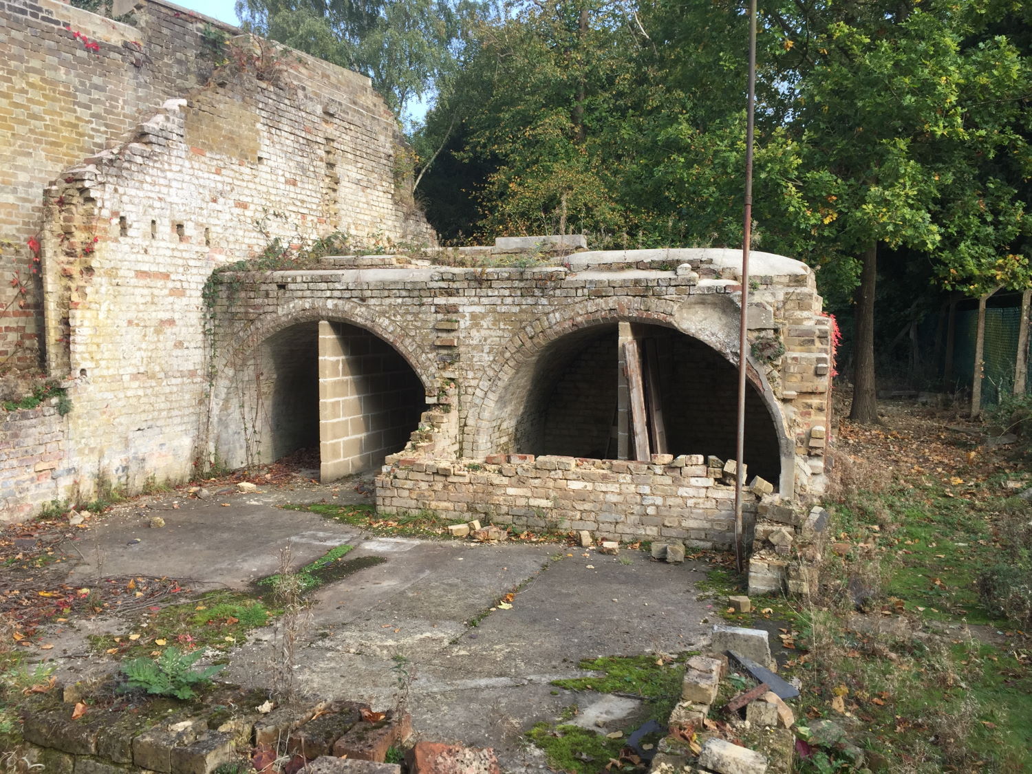 Placeholder Image