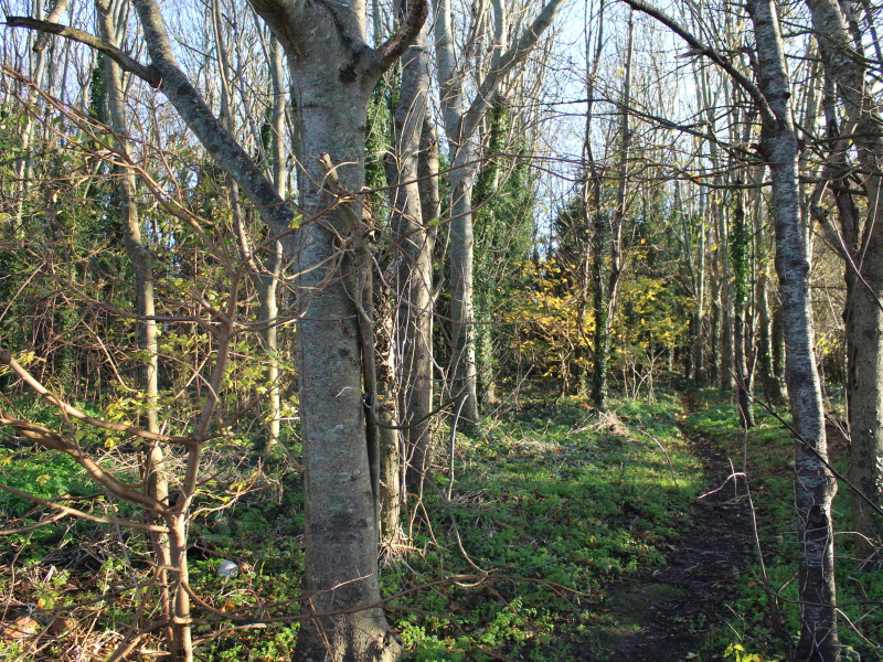 Placeholder Image