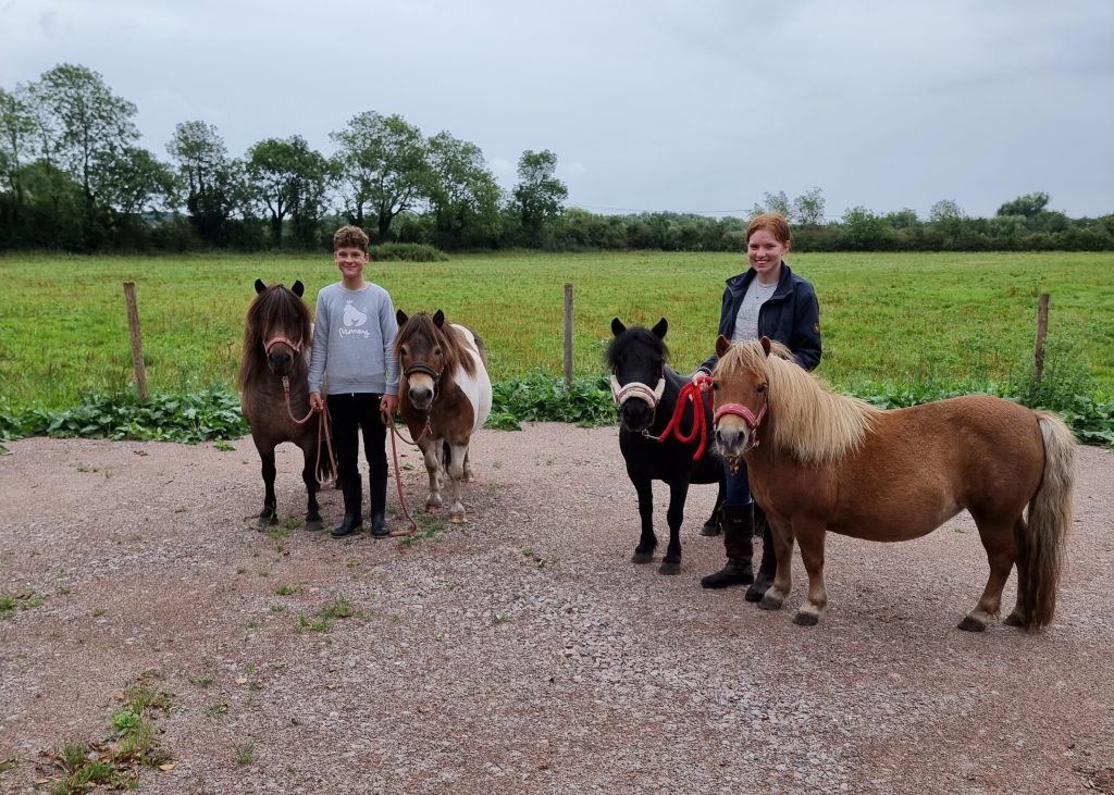 Mountsorrel Quarry helps stable ground for rescue ponies