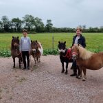 Mountsorrel Quarry helps stable ground for rescue ponies