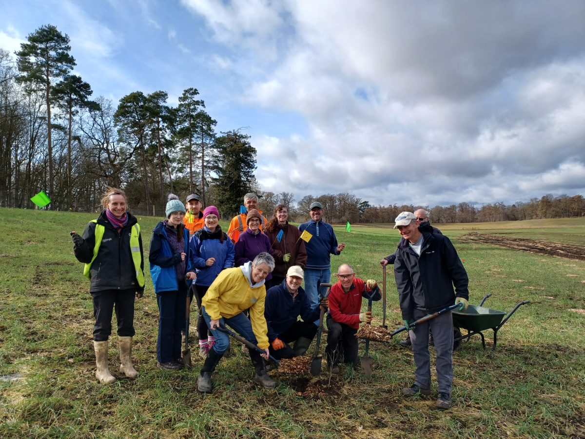 ‘Queen’s Wood’ complete thanks to community effort | Panshanger Park