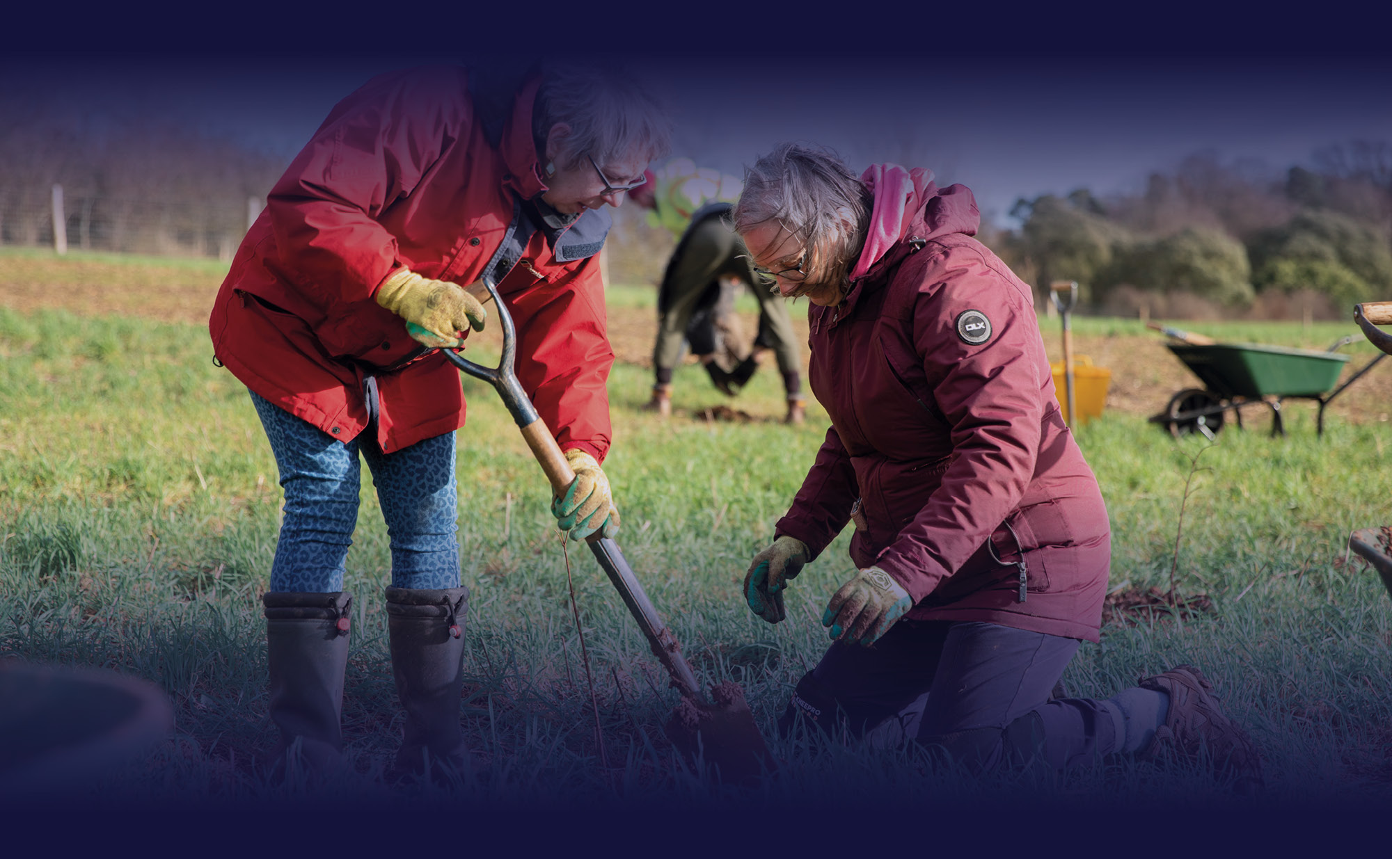 Elderly couple digging