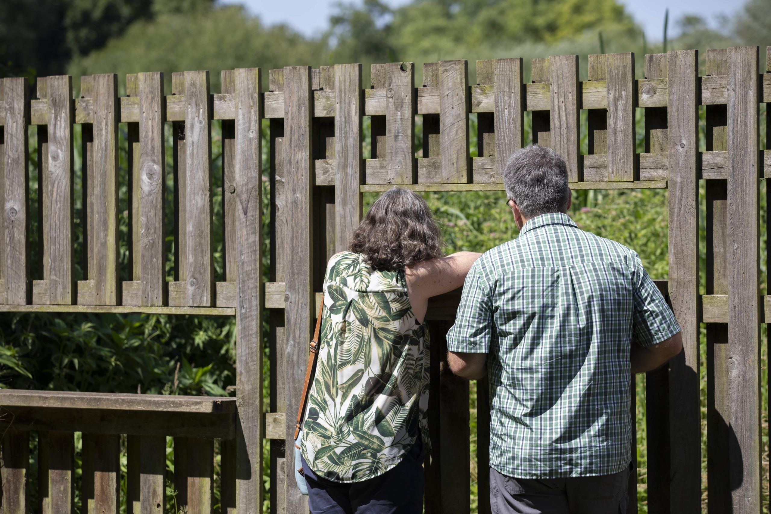 Couple admiring a dragonfly trail