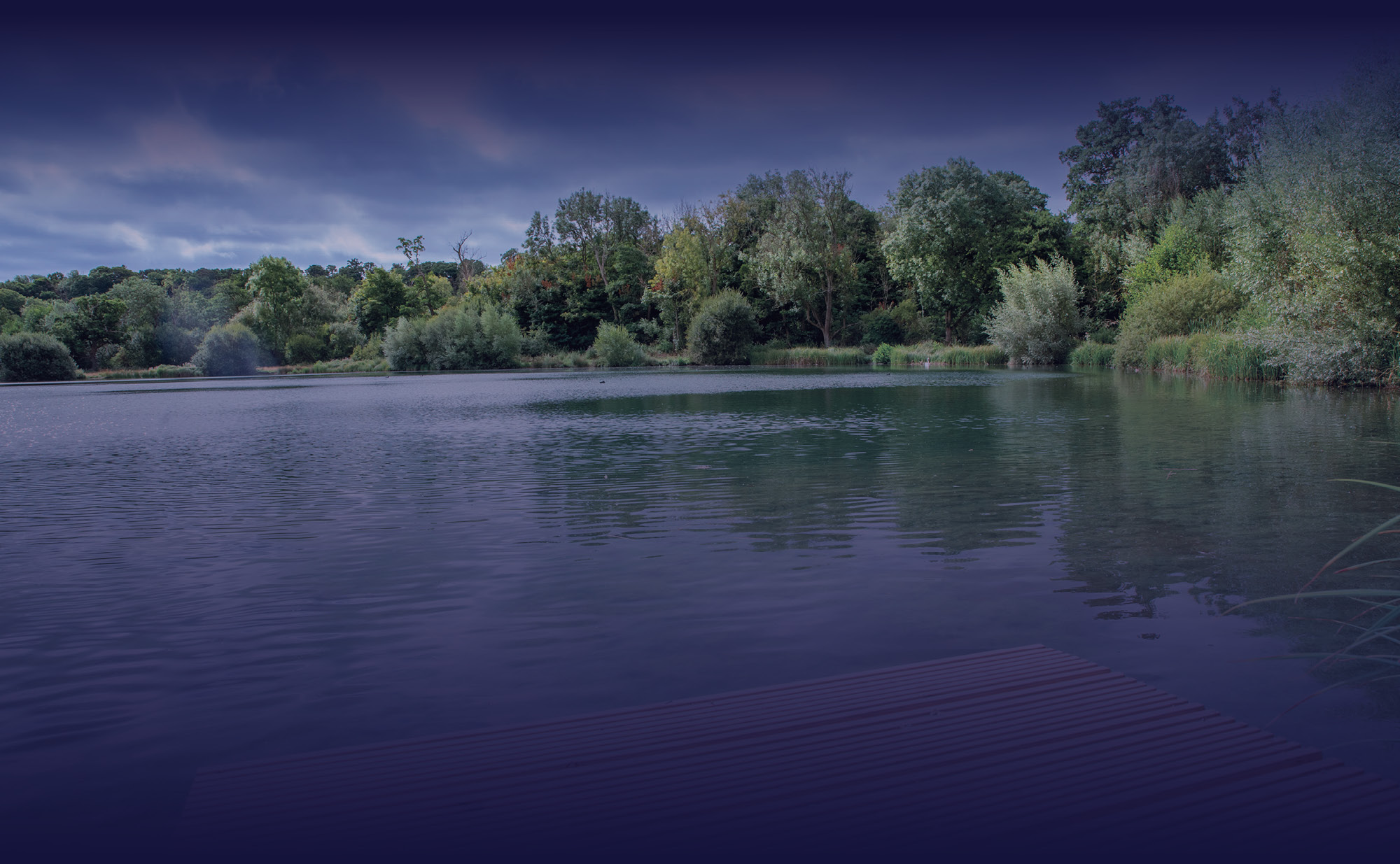Open water with green trees in the back