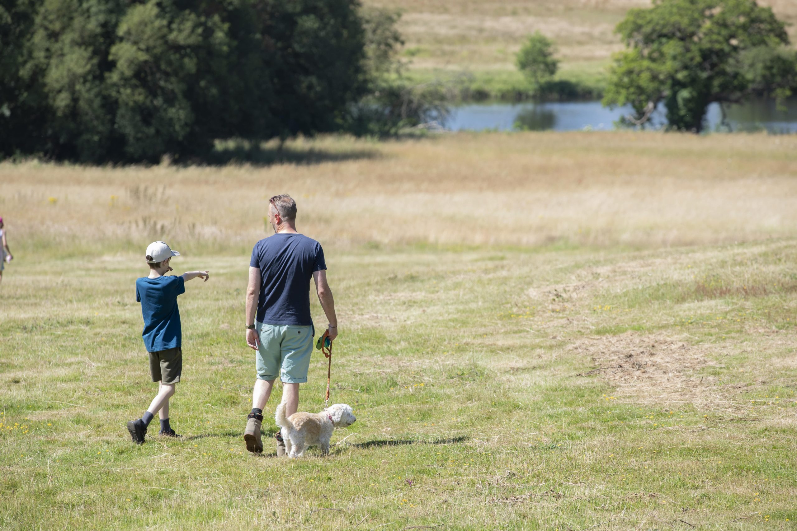 Father and son walking in the panshanger park