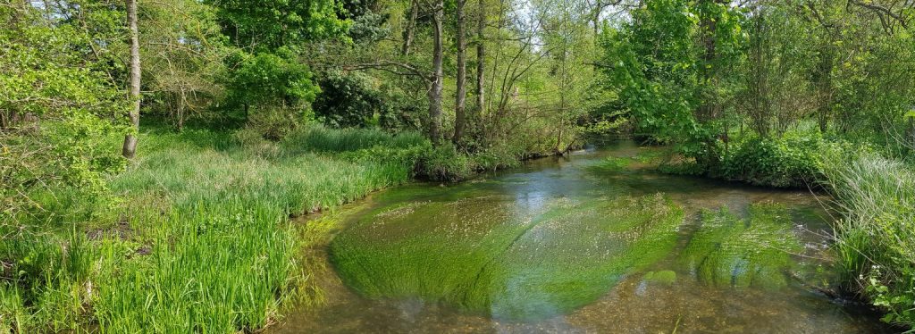 What’s beneath your feet at Panshanger