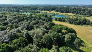 Panshanger Park invites local people who are wild for nature to special event