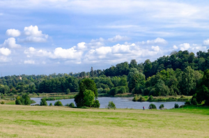 Tarmac announces new parkland management plan for Panshanger Park