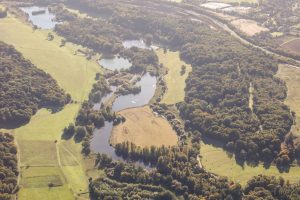 Discussing the wetlands at Panshanger Park