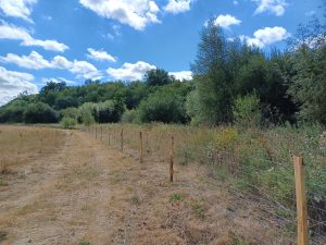 Timber from local woodland receives special tree-tment to create new fencing at Panshanger Park