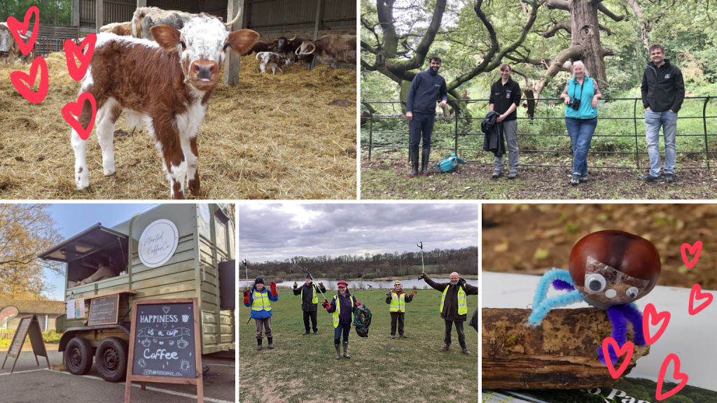 Fall in love all over again with Panshanger Park on Valentine’s Day