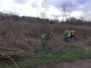 Winter works for wildlife