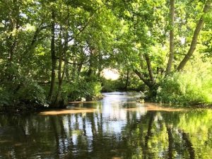 Looking after the River Mimram
