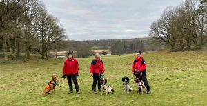Search dog teams train at Panshanger
