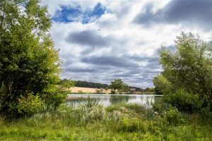 Celebrating nature and conservation at Panshanger Park