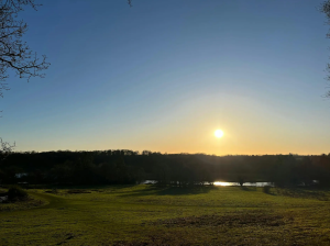 Guided Walk: Exploring the Repton Trail at Panshanger Park