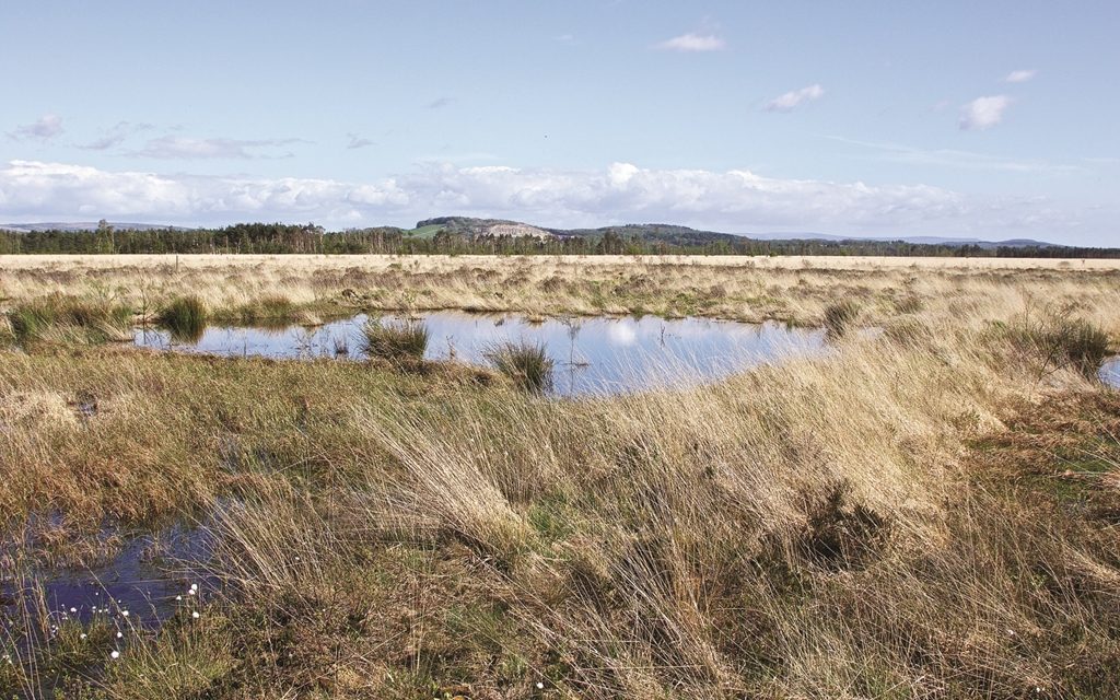 Tarmac supports Cumbria Wildlife Trust in improving visitors experience at flagship South Lakes nature reserve