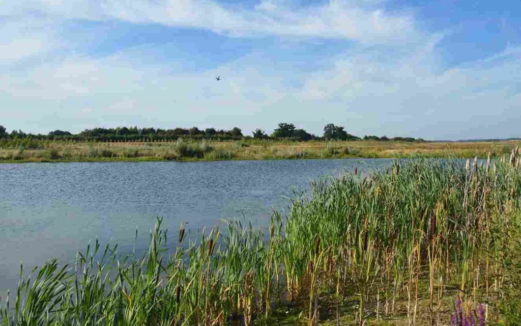 Tarmac celebrates World Wetland Day
