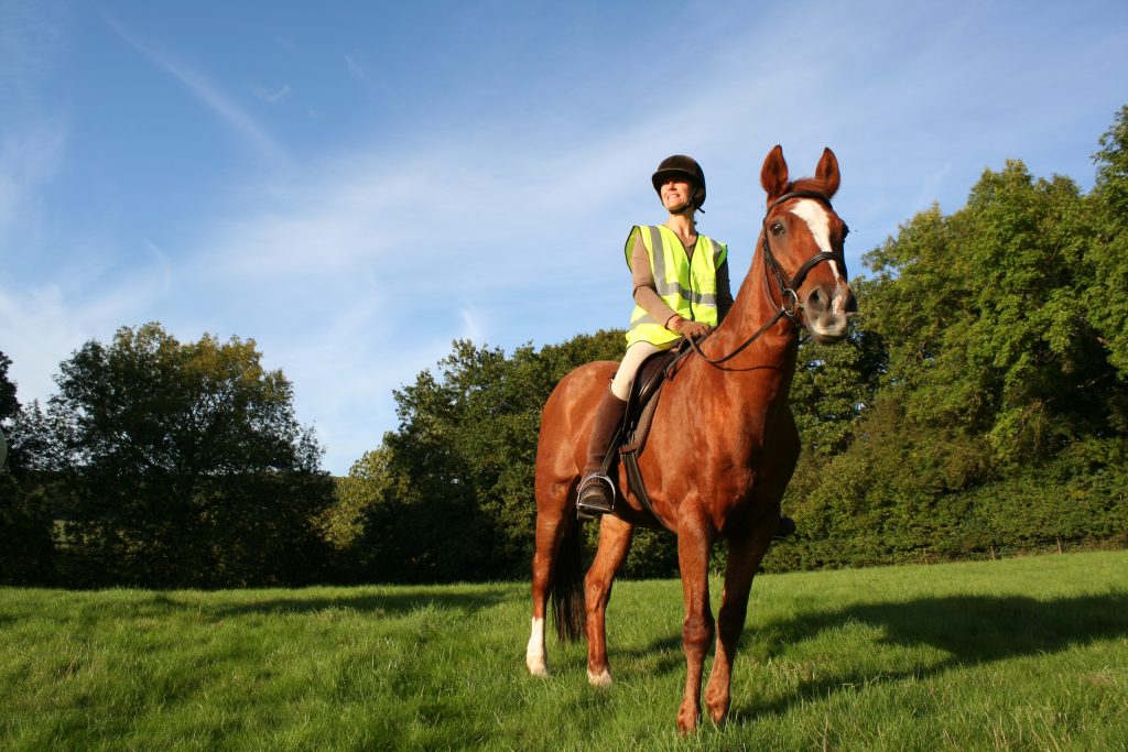British Horse Society and Tarmac join forces to revive Hampshire bridleway