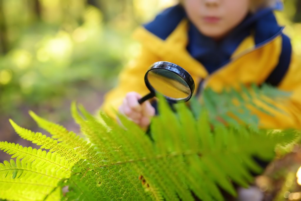 Tarmac’s Skipton Quarry partners with the Yorkshire Dales National Park to host educational visit for local school