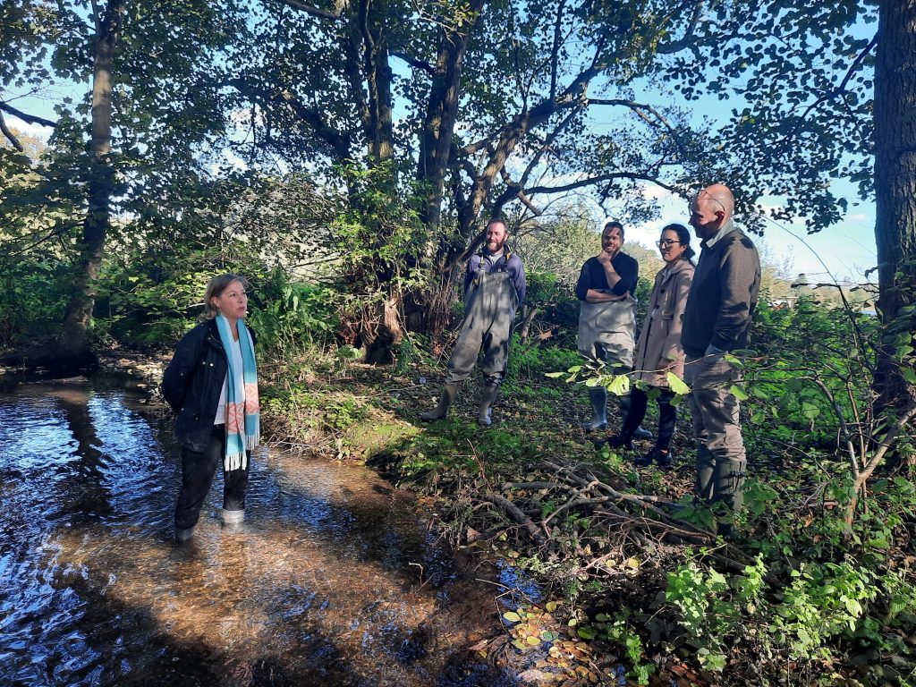A river runs through it – how Panshanger Park is playing its part in protecting and promoting chalk streams