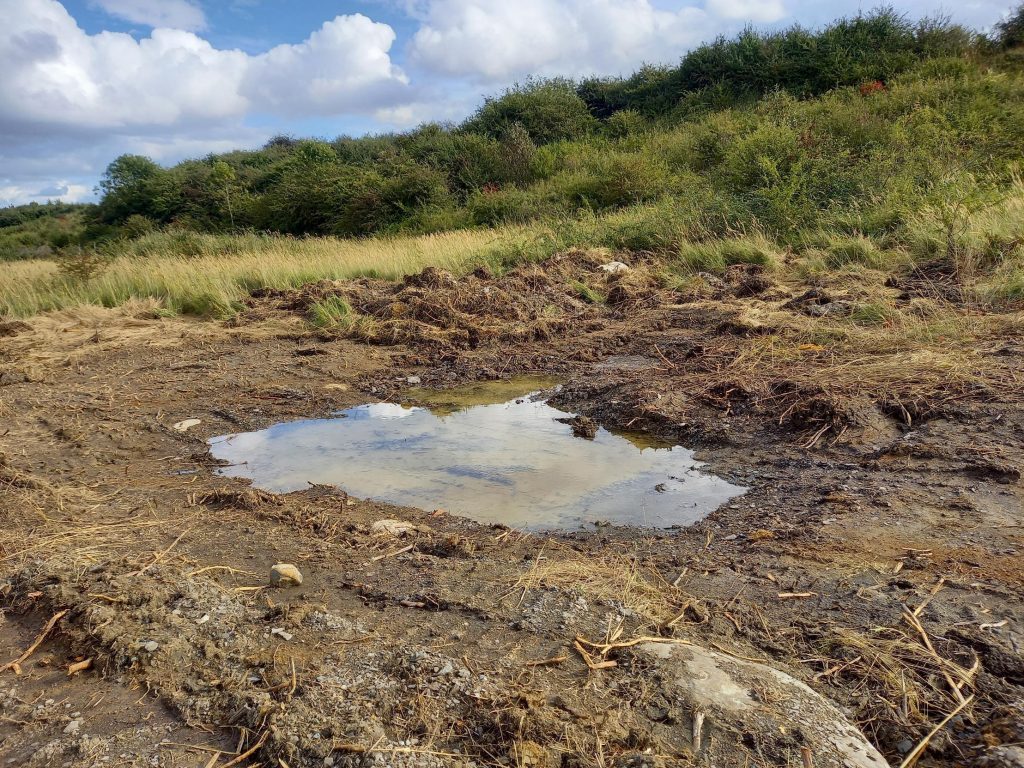 Beetles and bugs thrive after Tarmac grant helps fund new water pump at wildlife reserve in Cambridgeshire