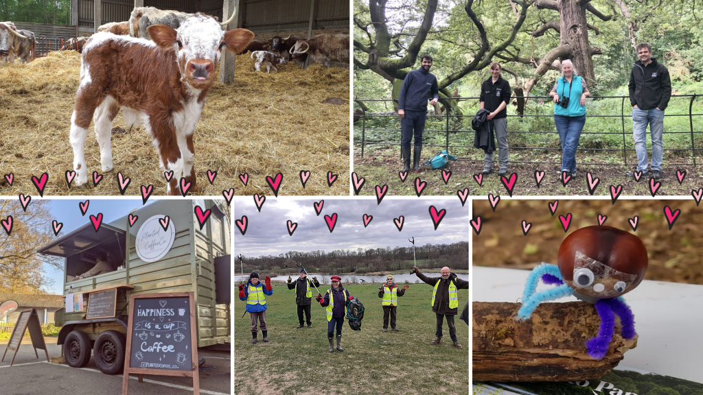 Fall in love with Panshanger Park on Valentine’s Day  