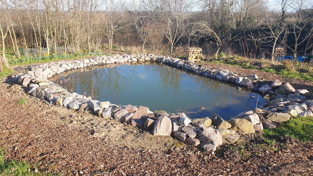 Tarmac donation helps transform area for wildlife   
