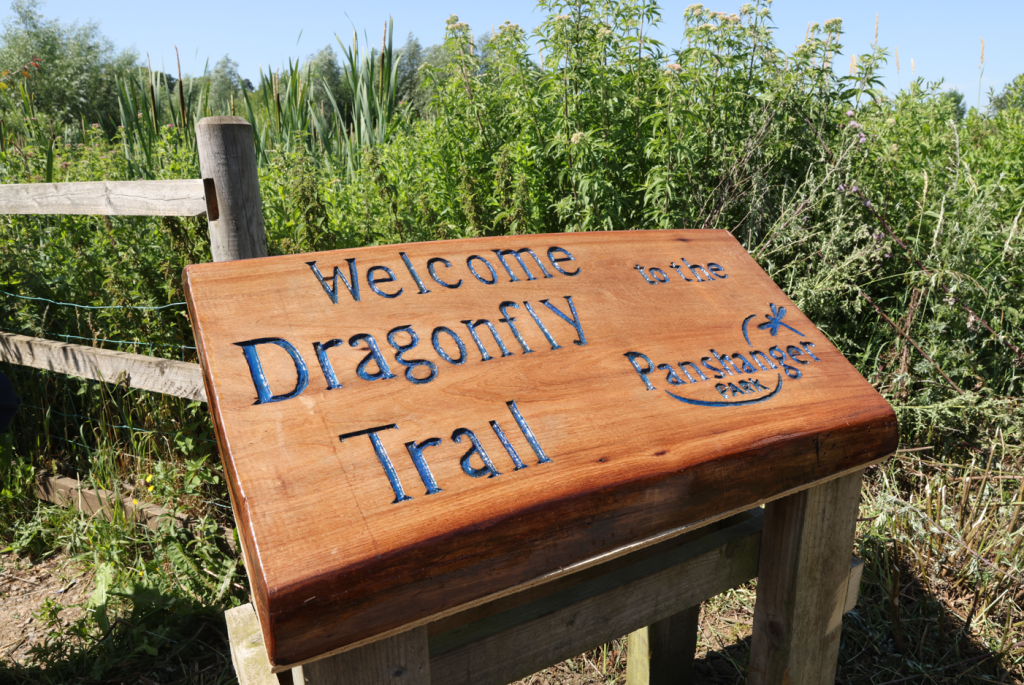 Dragonfly experts put Tarmac’s Panshanger Park on the map 