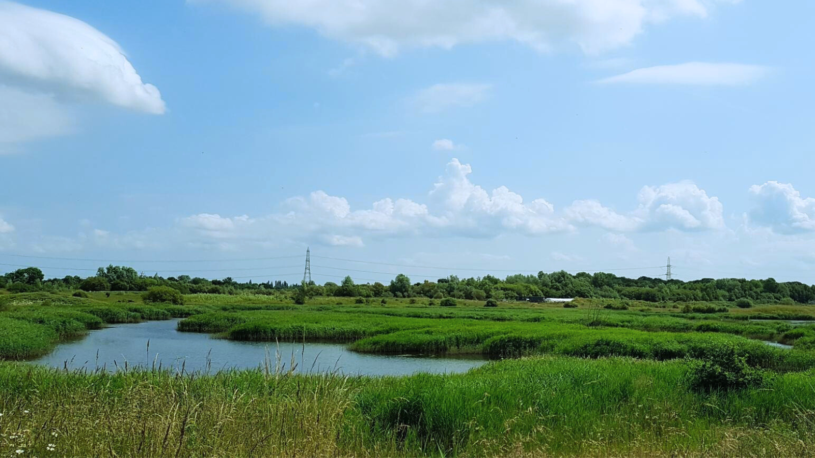 Historic land transfer at Langford Lowfields is a cause for celebration