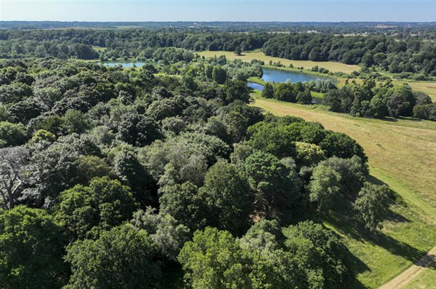 Panshanger Park invites local people who are wild for nature to special event
