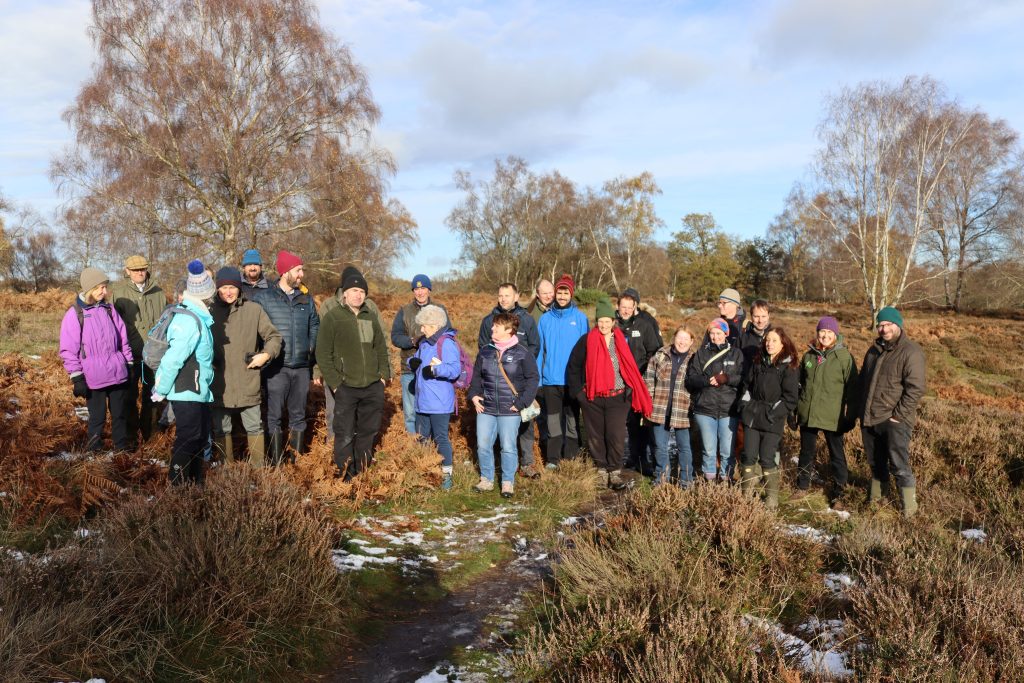 30 years of heathland restoration at Rammamere Heath
