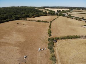 Biodiversity Net Grain